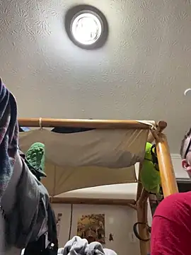 sexygamer74 online show from February 2026 05:14:01 AM