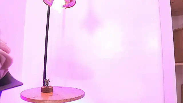 Shopie Colucci online show from April 2026 04:01:01 PM