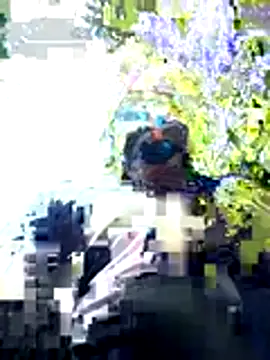 Snapshot of ShadowLove85 chatting on May 2026 01:42:02 PM ShadowLove85 online show from May 2026 01:42:02 PM