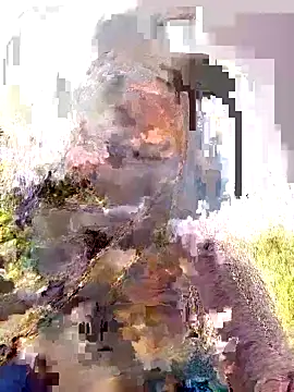 Pallavi hote online show from February 2026 06:02:02 AM