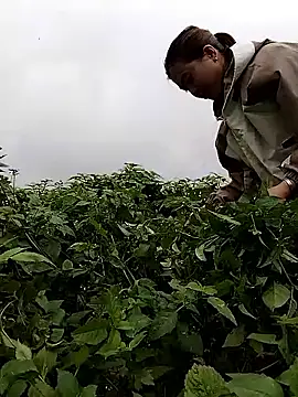 lovely-742 online show from February 2026 01:50:01 AM