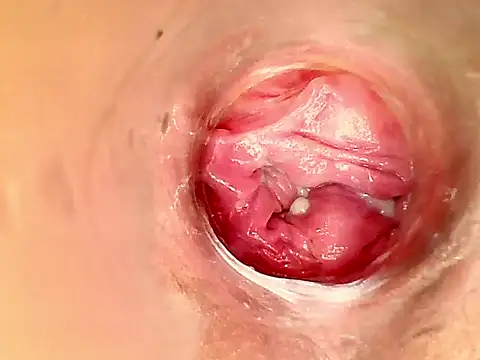 karol kane online show from February 2026 03:17:02 PM