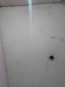 cobrosdepagos online show from February 2026 01:56:02 AM