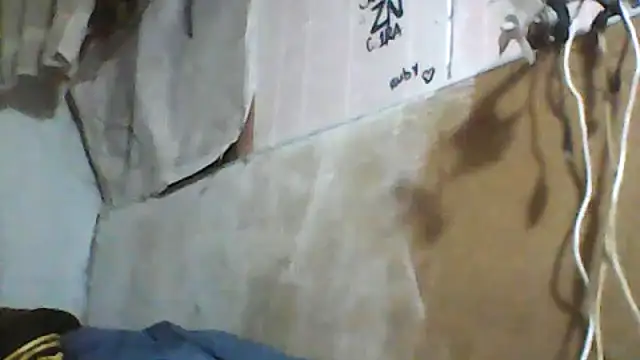 cobrosdepagos online show from June 2026 07:19:01 AM