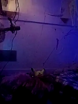 issyamazin online show from April 2026 02:00:02 AM