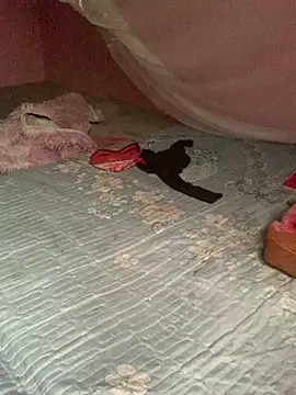 baeas-lan online show from April 2026 02:04:02 AM