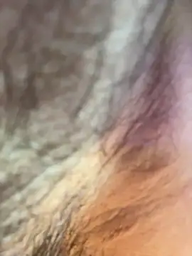 Karim mansur online show from March 2026 05:44:01 AM