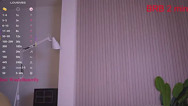 WindyButterfly online show from April 2026 07:25:02 AM