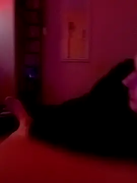 Filthyforall online show from February 2026 05:49:02 AM