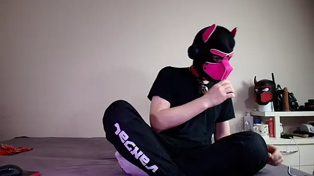 K9 GoodBoy online show from June 2026 05:28:01 PM