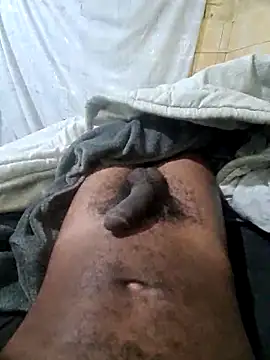 Snapshot of DeclawedPoise chatting on April 2026 10:07:02 PM DeclawedPoise online show from April 2026 10:07:02 PM