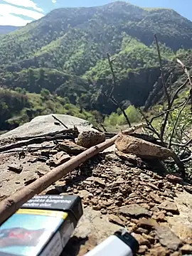 TurkeyMen online show from April 2026 06:18:01 AM