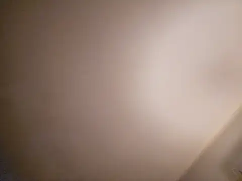 Schlongo420 online show from January 2025 12:41:02 PM