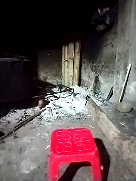 ngocbao11 online show from March 2026 12:12:01 AM