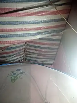 Susu-bae online show from February 2026 01:48:01 AM