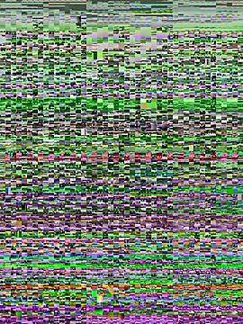 kana 0012 online show from March 2026 12:51:01 AM