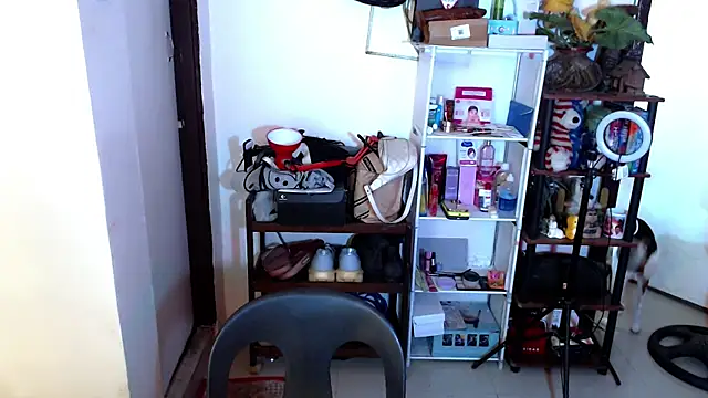 sweetasian zoe online show from April 2026 06:11:02 PM