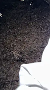 Snapshot of salfetka_sex chatting on March 2026 05:17:01 PM salfetka sex online show from March 2026 05:17:01 PM