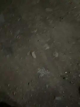 parth73637 online show from February 2026 02:47:02 PM