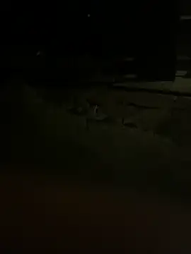 Snapshot of princessandthefootjob chatting on March 2026 04:35:01 AM princessandthefootjob online show from March 2026 04:35:01 AM