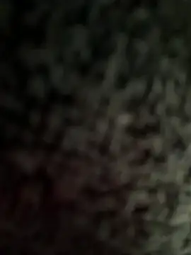 jesus-31 online show from April 2026 12:41:02 AM