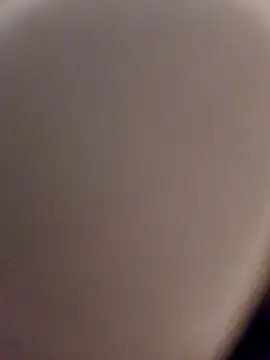 Snapshot of skynct2007 chatting on February 2026 05:38:01 AM skynct2007 online show from February 2026 05:38:01 AM