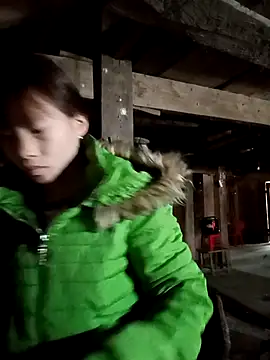 pic8800 online show from March 2026 04:40:01 AM