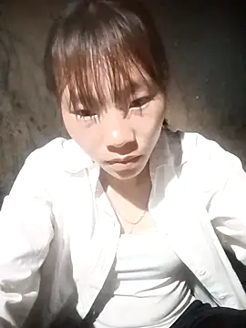 pic8800 online show from April 2026 08:07:01 AM