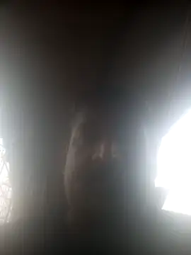 siva6703 online show from March 2026 09:50:01 AM