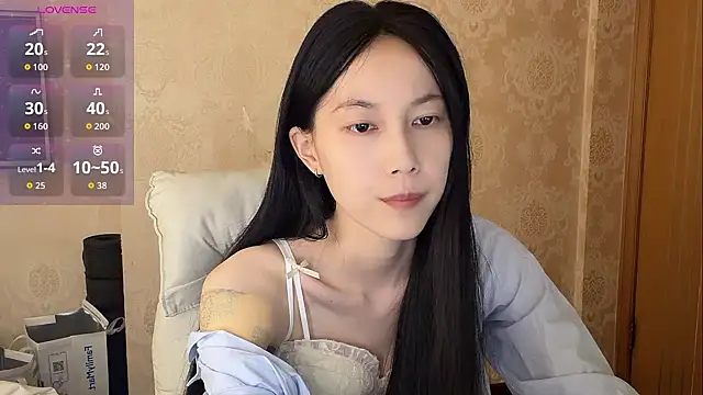 DD-5200 online show from April 2026 06:14:02 AM