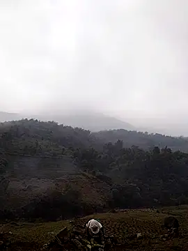 lyly sexx online show from March 2026 04:29:01 AM