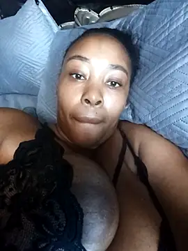 Catpili online show from March 2026 08:22:02 AM