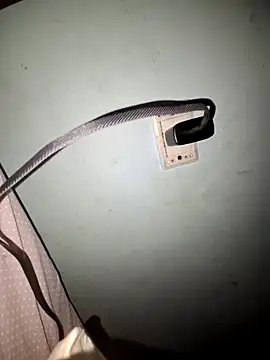 wolf297 online show from February 2026 11:44:01 AM