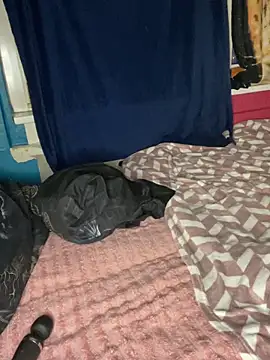 Melissa-Schneider online show from April 2026 06:16:02 PM