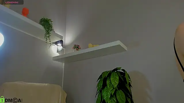 KiittieX online show from May 2026 06:30:01 AM