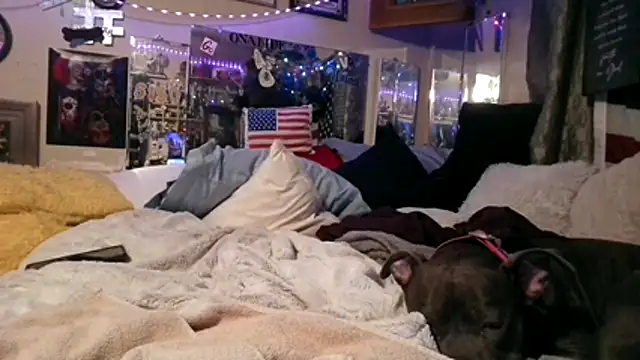 VelvetRae online show from March 2026 10:41:01 AM