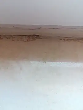 jeniferoo online show from March 2026 08:42:01 AM