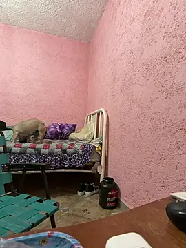 deivchoky online show from April 2026 01:00:01 AM