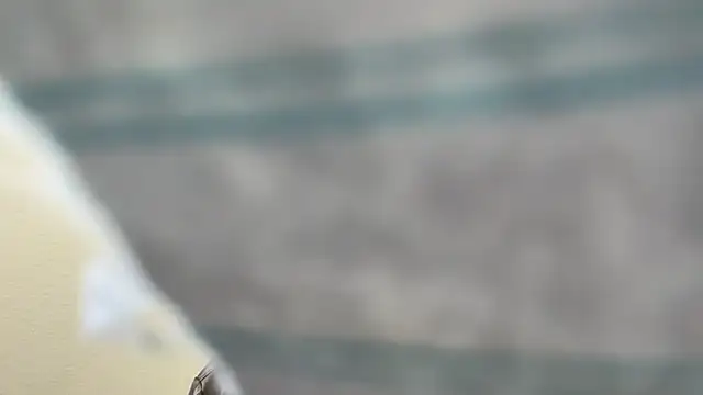 the-gen-xxx online show from March 2026 11:08:02 PM