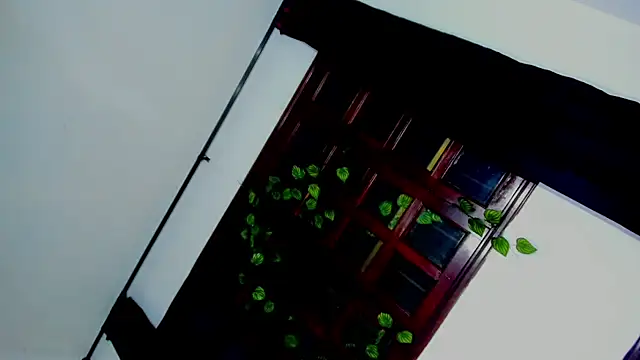 laaura dolll online show from April 2026 05:30:01 AM