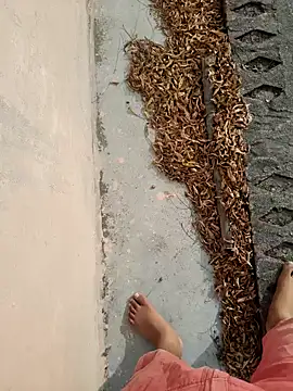 Desii rockstarr online show from March 2026 02:50:01 AM