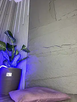 GiaRedd online show from April 2026 12:00:02 PM