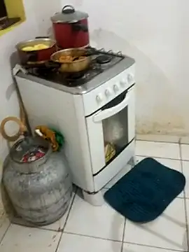 vereadora online show from March 2026 03:29:01 PM