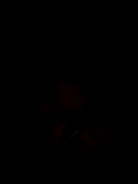 tina2005 online show from March 2026 07:58:01 PM