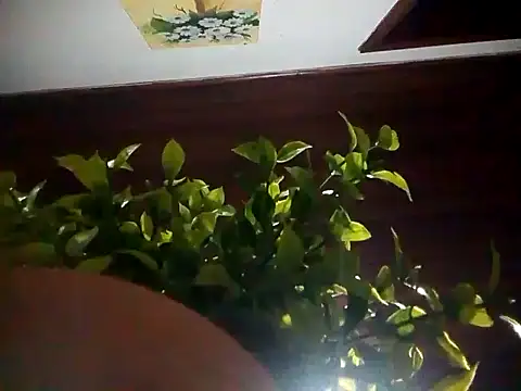 KikoKratos online show from July 2026 03:03:01 AM