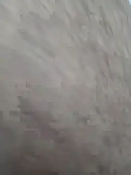 Snapshot of rashmi2026 chatting on March 2026 04:19:01 PM rashmi2026 online show from March 2026 04:19:01 PM