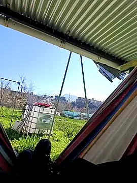 freedick93 online show from March 2026 01:58:01 PM