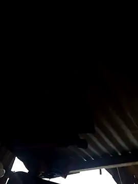 leitan01 online show from March 2026 12:32:01 PM