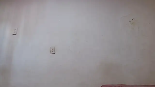 pircohg online show from April 2026 05:58:01 PM