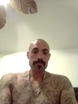Snapshot of wesstfine chatting on May 2026 04:41:01 AM wesstfine online show from May 2026 04:41:01 AM